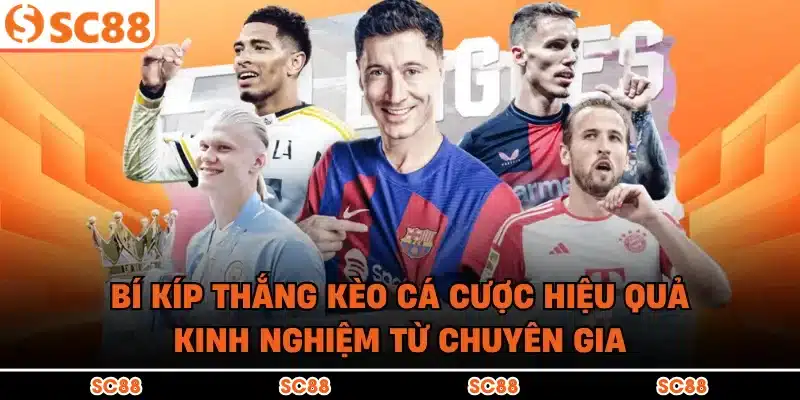 Bí Kíp Thắng Kèo Cá Cược Hiệu Quả | Kinh Nghiệm Từ Chuyên Gia